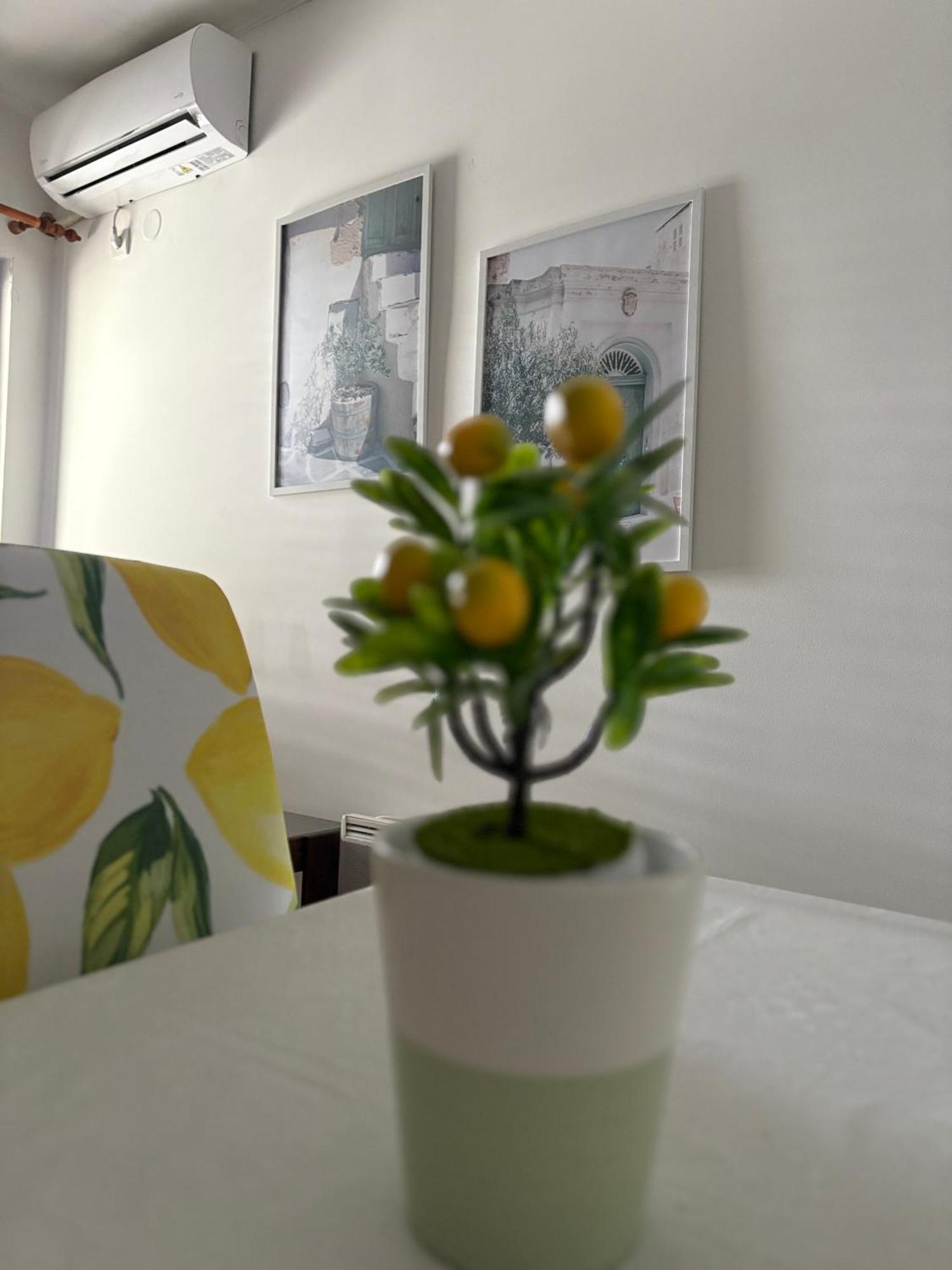 Apartments Herceg Novi Bilik gambar